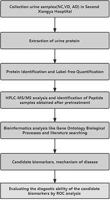 Urinary protein biomarkers based on LC–MS/MS analysis to discriminate vascular dementia from Alzheimer’s disease in Han Chinese population